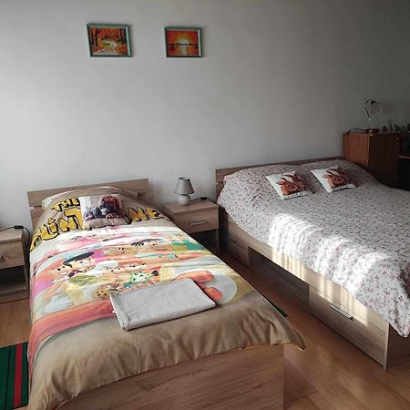 Apartament Apartman 1 Ribic Ogulin Zewnętrze zdjęcie