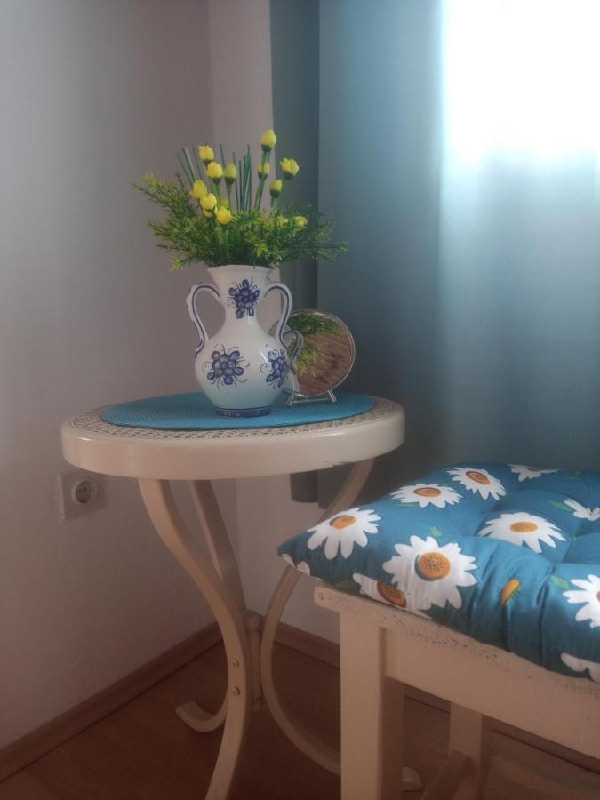 Apartament Apartman 1 Ribic Ogulin Zewnętrze zdjęcie